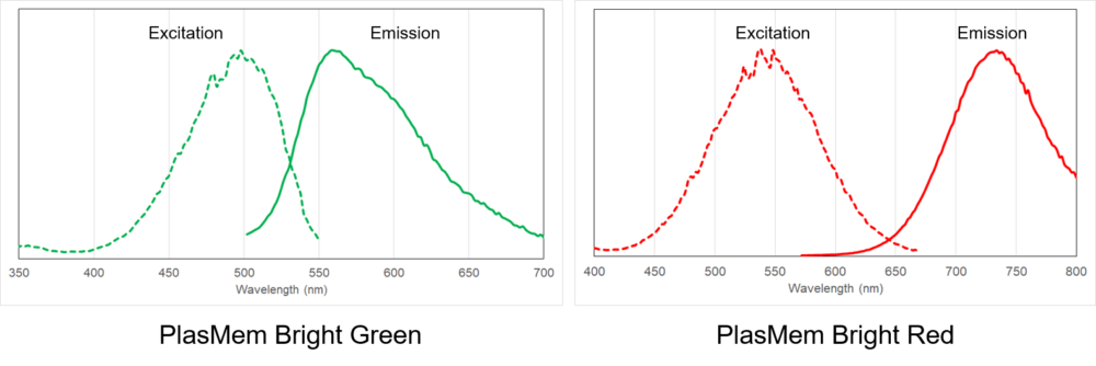 Excitation and emission spectra of PlasMem Bright series
