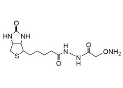 ARP (Aldehyde Reactive Probe) ARP (Aldehyde Reactive Probe), N-(Aminooxyacetyl)-N’-biotinyl-hydrazine [CAS: 139585-03-8]