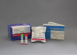 Ab-10 Rapid Biotin Labeling Kit 