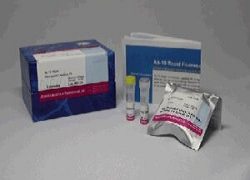 Ab-10 Rapid Fluorescein Labeling Kit 