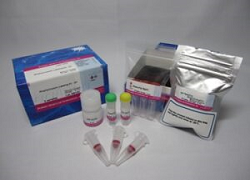 Allophycocyanin Labeling Kit-SH 