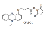 Amine-reactive PES Amine-reactive PES, 1-[3-(Succinimidyloxycarbonyl)propoxy]-5-ethylphenazinium triflate [CAS: ]