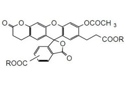 BCECF-AM BCECF-AM, 3-O-Acetyl-2,7-bis(carboxyethyl)-4 or 5-carboxyfluorescein, diacetoxymethyl ester [CAS:117464-70-7]