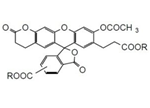 BCECF-AM BCECF-AM, 3'-O-Acetyl-2',7'-bis(carboxyethyl)-4 or 5-carboxyfluorescein, diacetoxymethyl ester [CAS:117464-70-7]