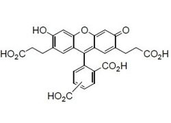 BCECF BCECF, 2,7-Bis(carboxyethyl)-4 or 5-carboxyfluorescein [CAS: 85138-49-4]