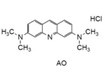 -Bacstain-AO Solution -Bacstain-AO solution, 3,6-Bis(dimethylamino)acridine hydrochloride, solution