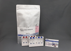-Bacstain- Bacterial Viability Detection Kit-DAPI/PI -Bacstain- Bacterial Viability Detection Kit-DAPI/PI, BS08
