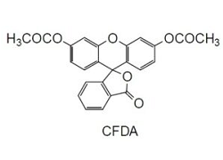 -Bacstain-CFDA Solution -Bacstain-CFDA solution, 5(6)-Carboxyfluorescein diacetate, DMSO solution [CAS: 79955-27-4]