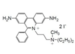 -Bacstain-PI Solution -Bacstain-PI solution, 3,8-Diamino-5-[3-(diethylmethylammonio)propyl]-6-phenylphenanthridinium diiodide, solution