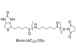 Biotin-(AC5)2-OSu 6-[6-(Biotinylamino)hexanoylamino]hexanoic acid N-hydroxysuccinimide ester [CAS: 89889-52-1]
