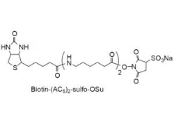 Biotin-(AC5)2 Sulfo-OSu Biotin-(AC5)2 Sulfo-OSu, 6-[6-(Biotinylamino)hexanoylamino]hexanoic acid N-hydroxysulfosuccinimide ester [CAS: 180028-78-8(free acid)]