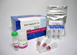 Biotin Labeling Kit-NH2 