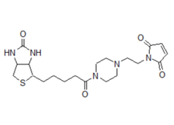 Biotin-PE-maleimide Biotin-PE-maleimide, N-Biotinyl-N E[2-(N-Maleimido)ethyl]piperazone, hydrochloride