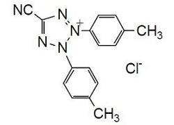 CTC CTC, 5-Cyano-2,3-ditolyl-2H-tetrazolium chloride [ CAS: 90217-02-0]