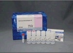 Cell Count Normalization Kit  C544-02, C544, Cell Count Normalization Kit