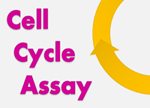 Cell Cycle Assay Solution Deep Red Cell Cycle, Cell, Cycle, Assay, Deep Red