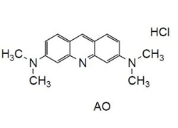 -Cellstain-AO Solution -Cellstain-AO Solution, 3,6-Bis(dimethylamino)acridine, hydrochloride, aqueous solution