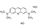 -Cellstain-AO Solution -Cellstain-AO Solution, 3,6-Bis(dimethylamino)acridine, hydrochloride, aqueous solution