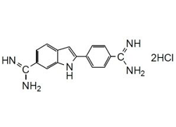 -Cellstain-DAPI -Cellstain-DAPI, 4,6-Diamidino-2-phenylindole, dihydrochloride [CAS: 28718-90-3]