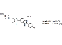 -Cellstain-Hoechst 33258 Solution -Cellstain-Hoechst 33258 Solution, Bisbenzimide, 2’-(4-hydroxyphenyl)-5-(4-methyl-1-piperazinyl)-2,5’-bi-1H-benzimidazole trihydrochloride, aqueous solution