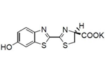 D-Luciferin K salt D-Luciferin K salt, (S)-4,5-Dihydro-2-(6-hydroxy-2-benzothiazolyl)-4-thiazolecarboxylic acid, potassium salt [CAS: 115144-35-9]