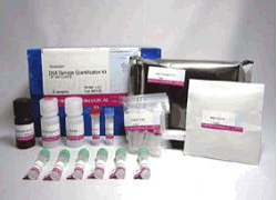 DNA Damage Quantification Kit-AP Site Counting- DNA Damage Quantification Kit-AP Site Counting-, ROS, Oxdative stress, Comet assay,  Genomic DNA, 8-OHdG, Abasic site, Hydroxy radical, Aldehyde reactive probe, ARP, DNA repair  