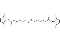 Dithiobis(succinimidyl hexanoate) Dithiobis(succinimidyl hexanoate), Dithiobis(1-succinimidyl hexanoate)