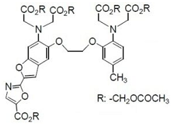 Fura 2-AM Fura 2-AM, 1-[6-Amino-2-(5-carboxy-2-oxazolyl)-5-benzofuranyloxy]-2-(2-amino-5-methylphenoxy)ethane-N,N,N’,N’- tetraacetic acid, pentaacetoxymethyl ester [CAS: 108964-32-5]