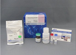 Glucose Assay Kit-WST  G264, G264-05, G264-20, Glucose