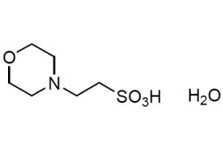 MES MES, 2-Morpholinoethanesulfonic acid, monohydrate [CAS: 145224-94-8]