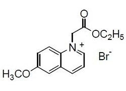 MQAE MQAE, N-Ethoxycarbonylmethyl-6-methoxyquinolinium bromide [CAS: 124505-60-8]