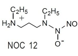 NOC 12 NOC 12, 1-Hydroxy-2-oxo-3-(N-ethyl-2-aminoethyl)-3-ethyl-1-triazene [CAS: 146724-89-2]