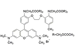Rhod 2-AM Rhod 2-AM, 1-[2-Amino-5-(3-dimethylamino-6-dimethylammonio-9-xanthenyl)phenoxy]-2-(2-amino-5-methylphenoxy)ethane- N,N,N’,N’-tetraacetic acid, tetraacetoxymethyl ester, chloride [CAS: 129787-64-0]