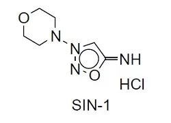 SIN-1 SIN-1, 3-(4-Morpholinyl)sydnonimine, hydrochloride [CAS: 16142-27-1]