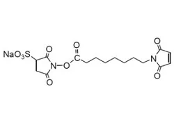 Sulfo-HMCS Sulfo-HMCS, N-(8-Maleimidocapryloxy)sulfosuccinimide, sodium salt [CAS: 211236-35-0]