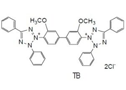 TB TB, 3,3-[3,3’-Dimethoxy-(1,1’-biphenyl)-4,4’-diyl]-bis(2,5-diphenyl-2H-tetrazolium chloride) [CAS: 1871-22-3]