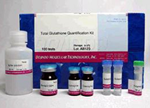 Total Glutathione Quantification Kit Total Glutathione Quantification Kit