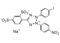 WST-1 WST-1, 2-(4-Iodophenyl)-3-(4-nitrophenyl)-5-(2,4-disulfophenyl)-2H-tetrazolium, monosodium salt [CAS: 150849-52-8]