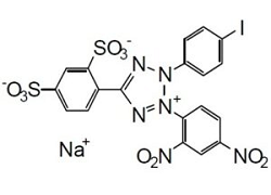 WST-3 WST-3, 2-(4-Iodophenyl)-3-(2,4-dinitrophenyl)-5-(2,4-disulfophenyl)-2H-tetrazolium, monosodium salt