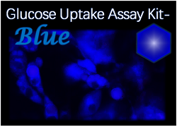 Glucose Uptake Assay Kit-Blue 